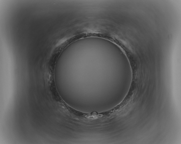 X0000110691303200906121218