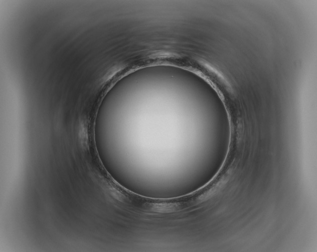 X0000110691305200906121218