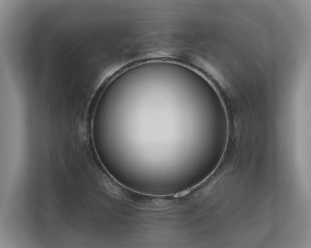 X0000110691308200906121218