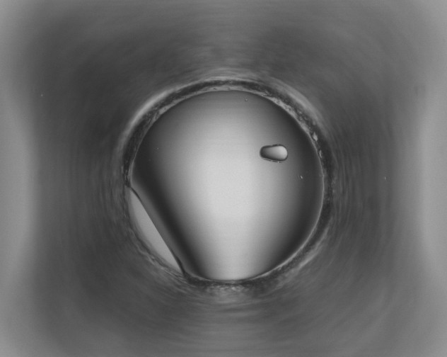 X0000110691310200906121218