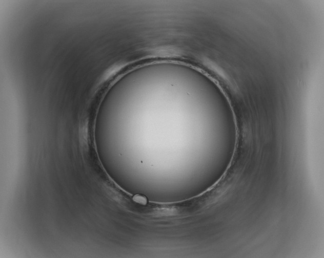 X0000110691315200906121218