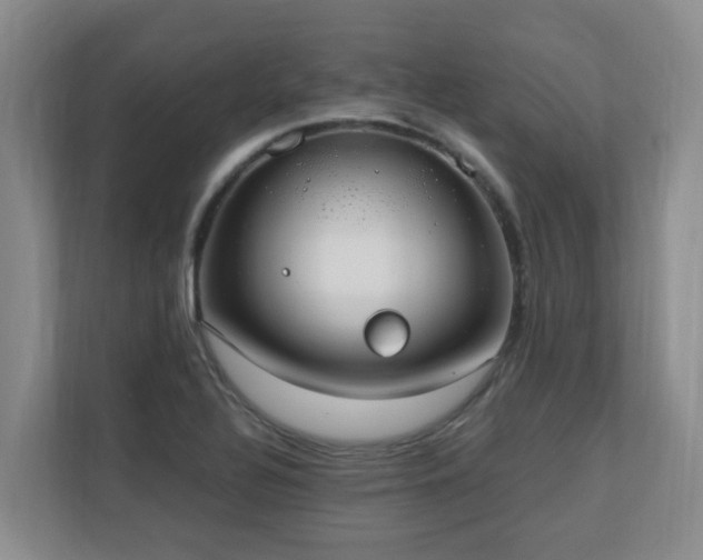 X0000110691320200906121218