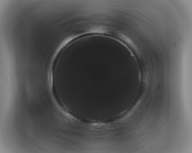 X0000110691323200906121218