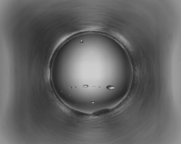 X0000110691324200906121218