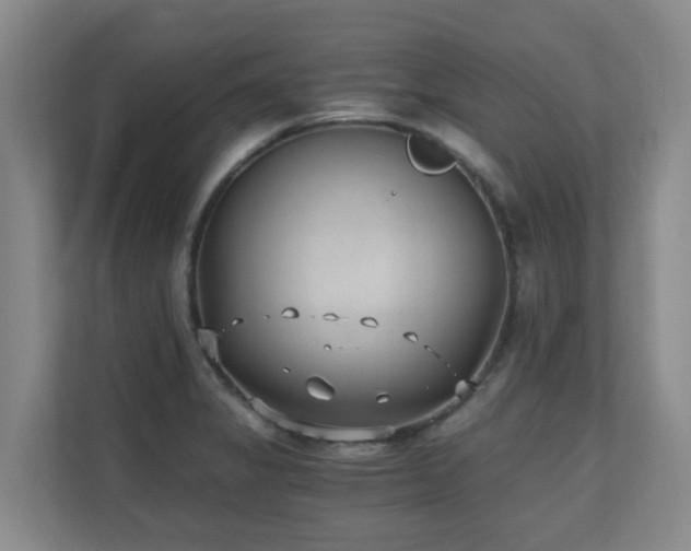 X0000110691325200906121218