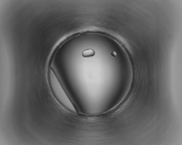 X0000110691326200906121218