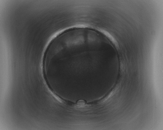 X0000110691327200906121218