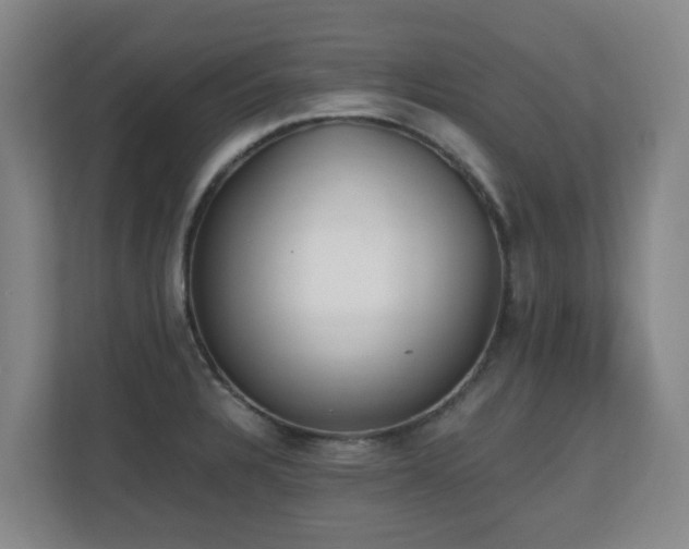 X0000110691328200906121218