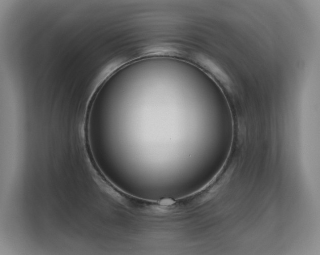 X0000110691330200906121218