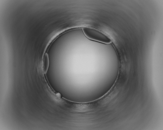 X0000110691332200906121218