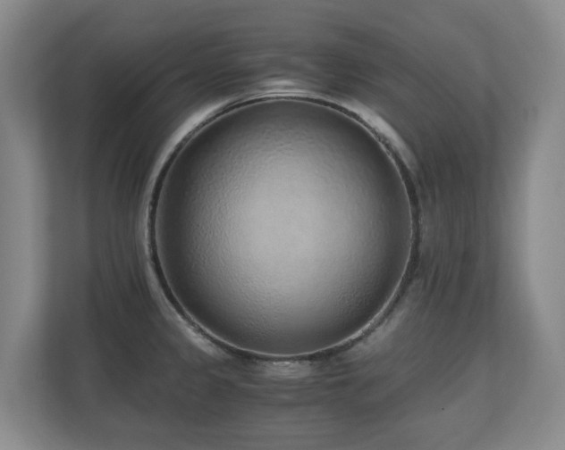 X0000110691333200906121218