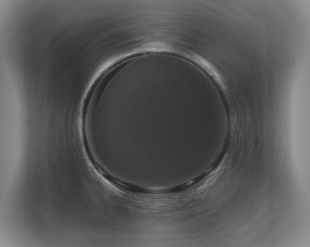 X0000110691334200906121218