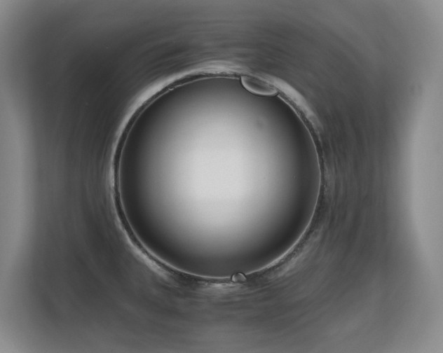 X0000110691335200906121218