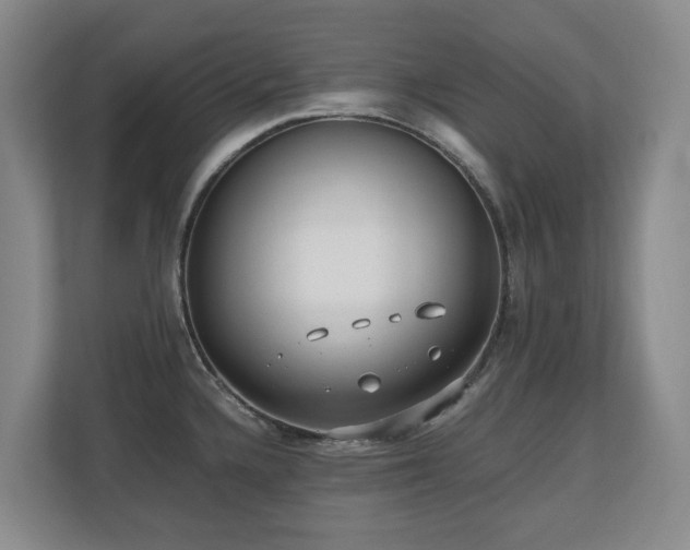 X0000110691336200906121218