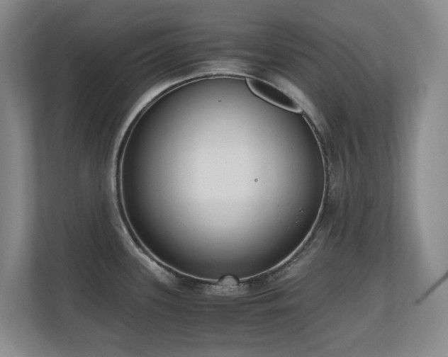 X0000110691339200906121218