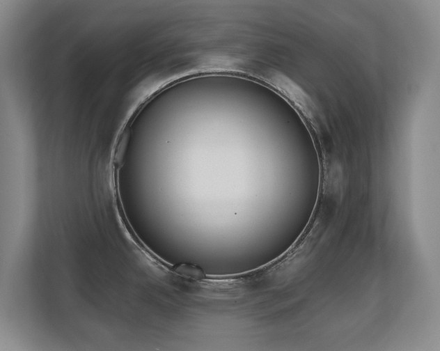 X0000110691342200906121218