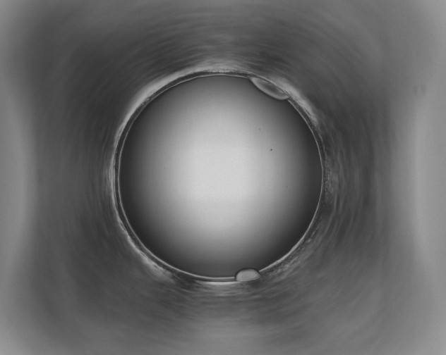 X0000110691343200906121218