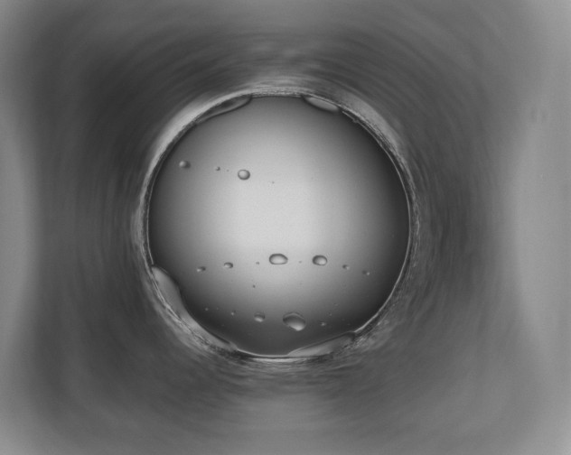 X0000110691344200906121218