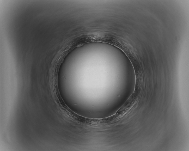 X0000110691345200906121218