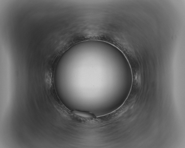 X0000110691348200906121218