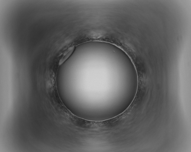 X0000110691349200906121218