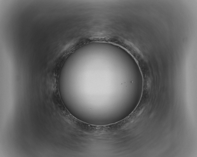 X0000110691350200906121218