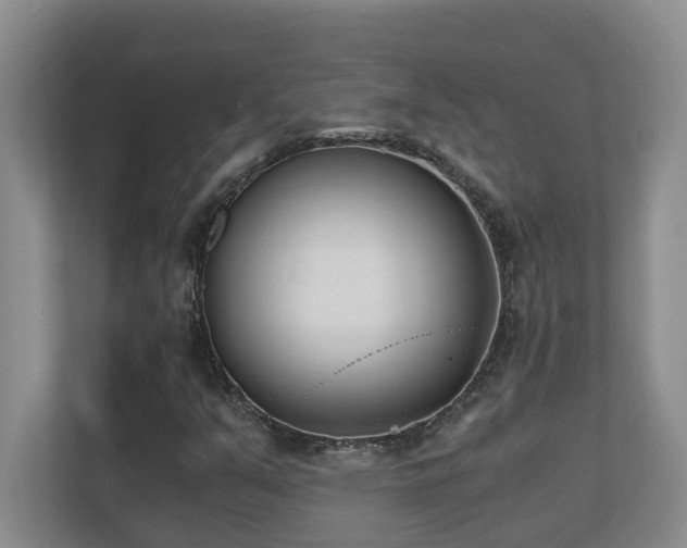 X0000110691351200906121218