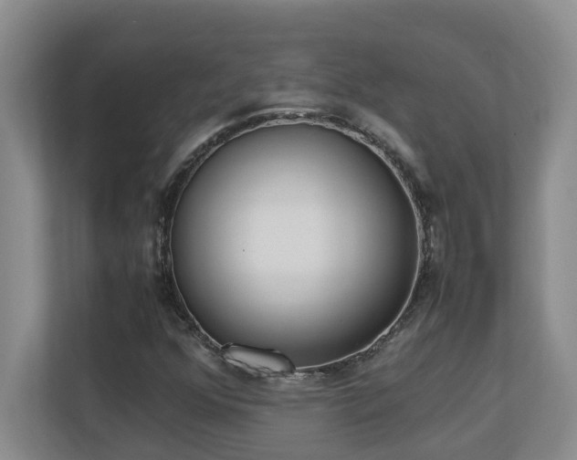 X0000110691352200906121218