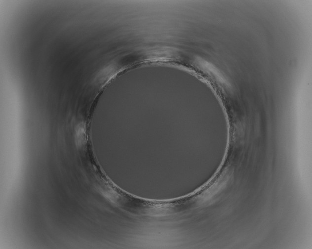 X0000110691353200906121218