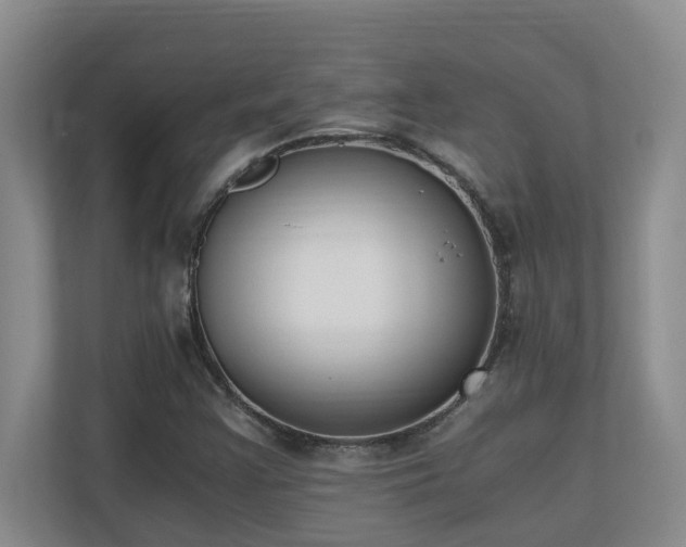 X0000110691355200906121218