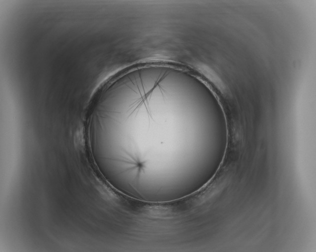 X0000110691356200906121217