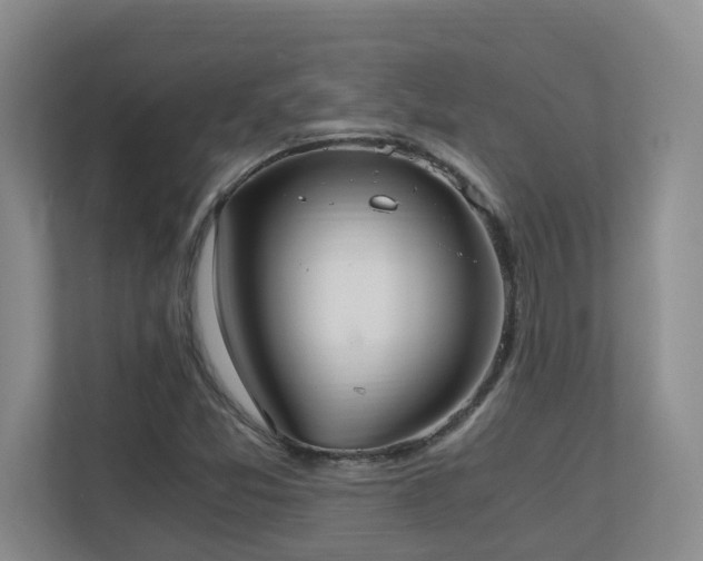 X0000110691357200906121217