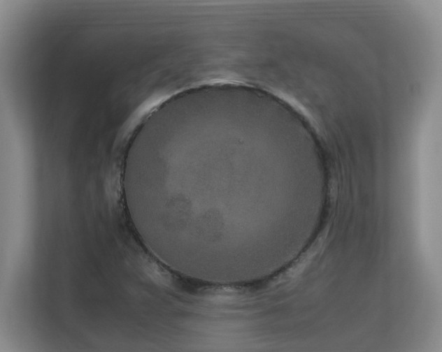 X0000110691359200906121217