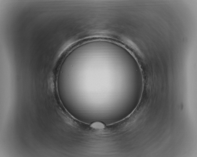 X0000110691360200906121217