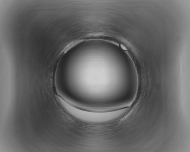 X0000110691361200906121217