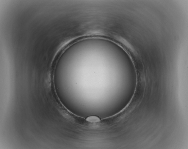 X0000110691364200906121217