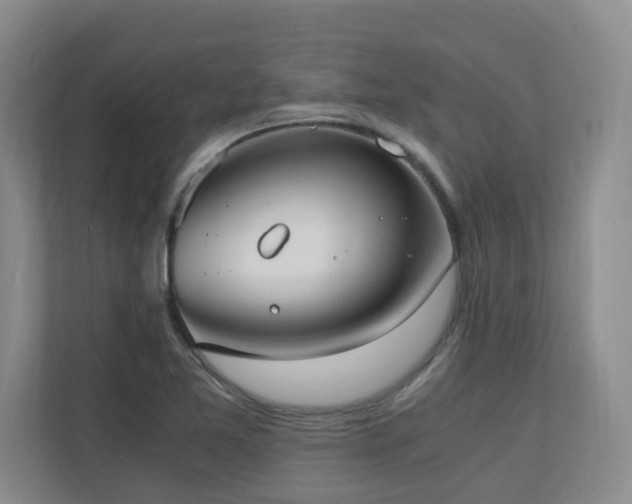 X0000110691365200906121217