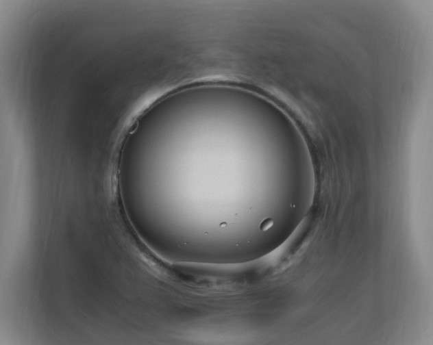 X0000110691367200906121217