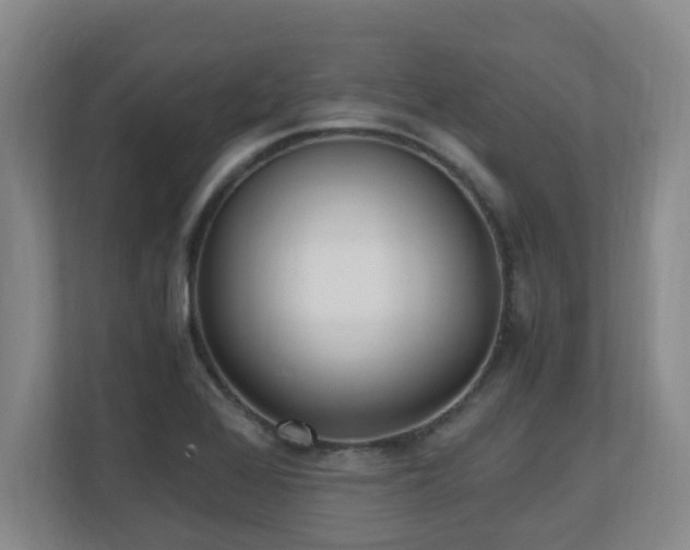 X0000110691368200906121217