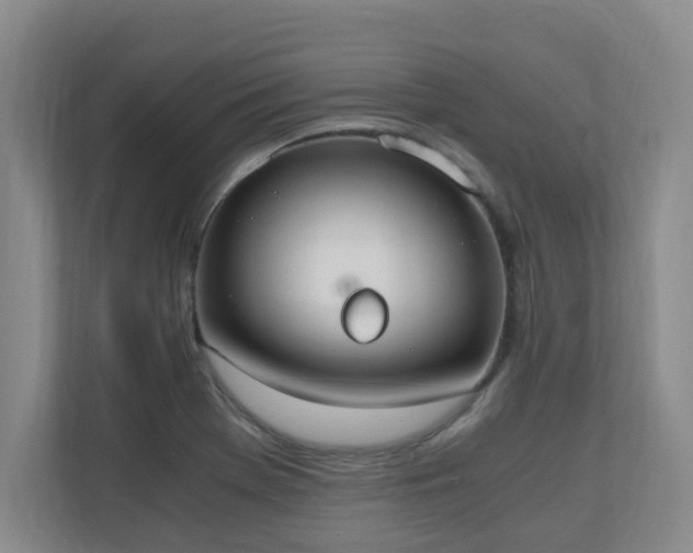 X0000110691369200906121217