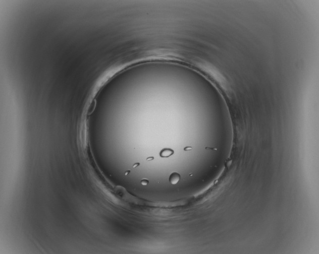 X0000110691371200906121217