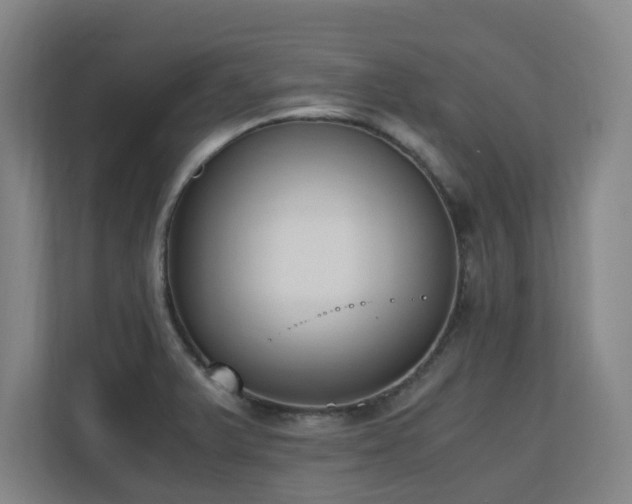 X0000110691375200906121217