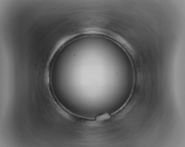 X0000110691376200906121217