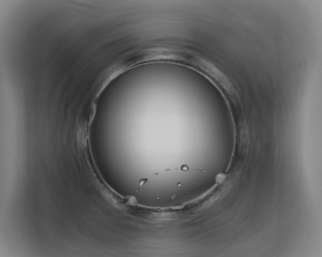 X0000110691377200906121217