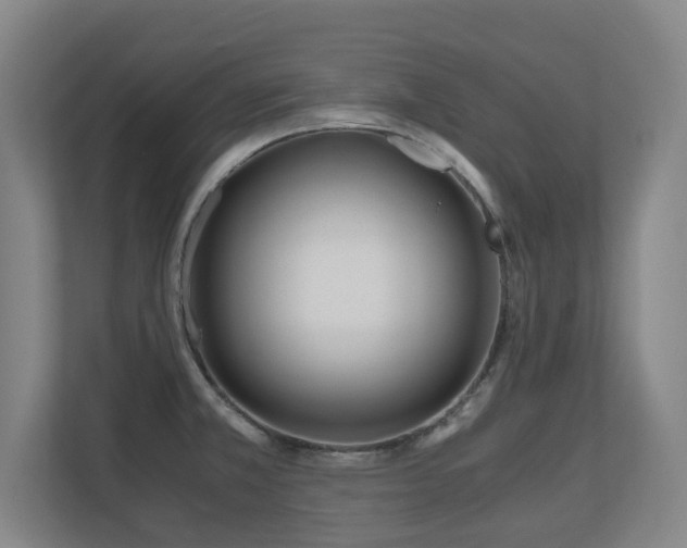 X0000110691381200906121217