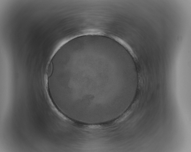 X0000110691383200906121217