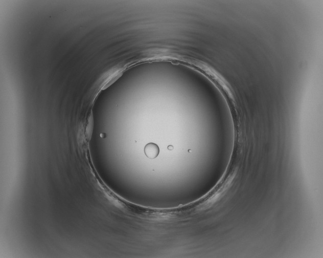 X0000110691385200906121217