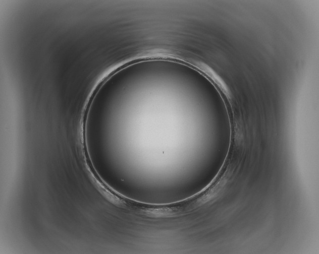 X0000110691388200906121217