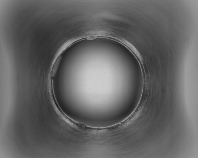 X0000110691389200906121217