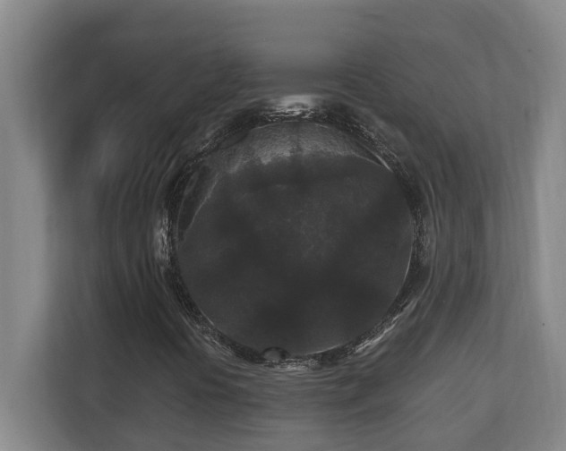 X0000110691394200906121216